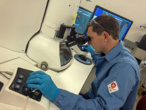 Photo of Jean-Marie Volland at Donner lab viewing the bacteria through a microscope. (Massie S. Ballon)