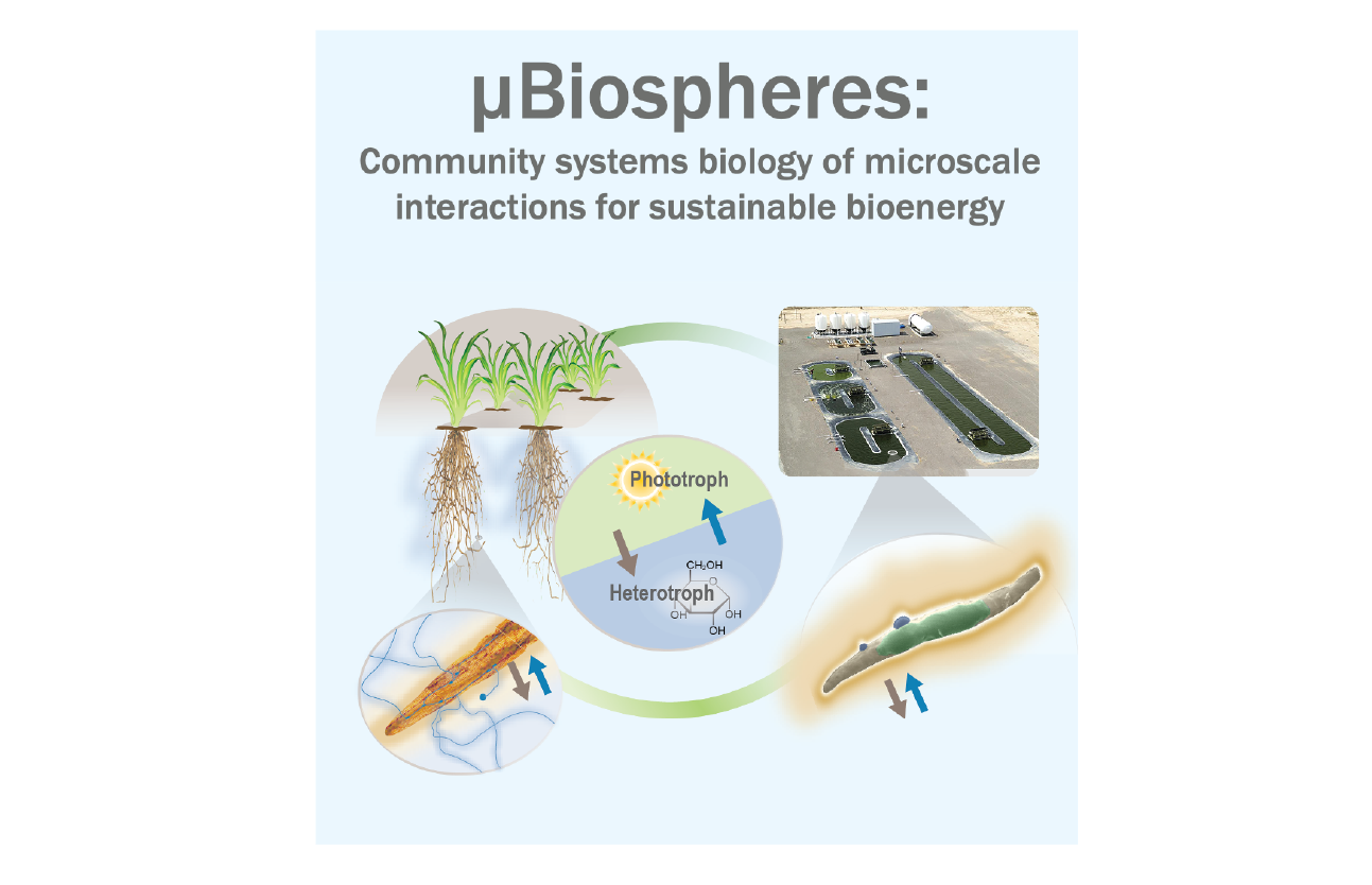 µBiospheres Science Focus Area