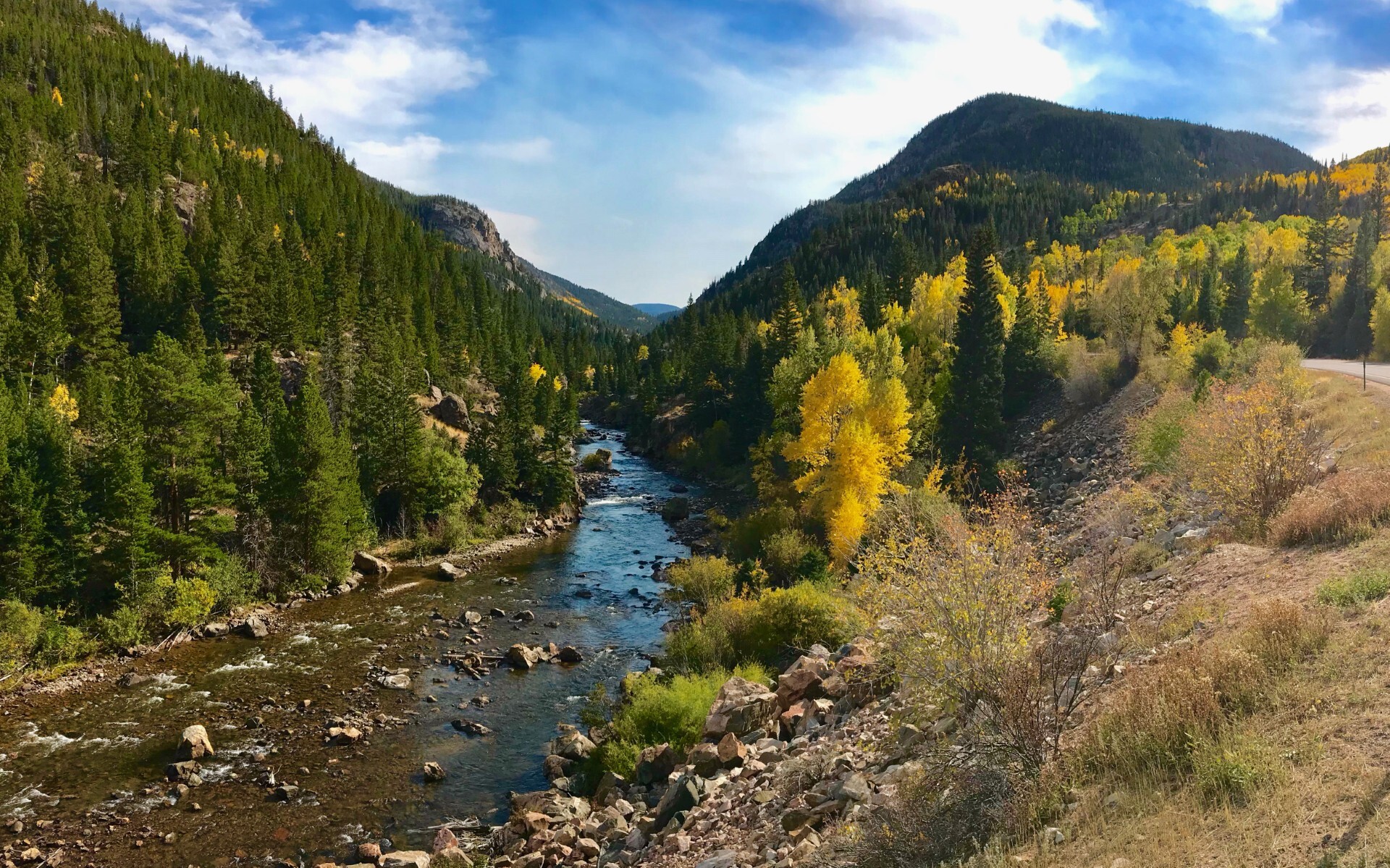 Cache la Poudre River in Colorado, surrounded by trees and brush. The river is low enough that some rocks stick out from the water.